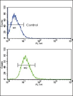 Invitrogen TLR2 Polyclonal Antibody 400 &mu;L | Buy Online | Invitrogen&trade; | Fisher Scientific