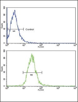 Invitrogen TLR6 Polyclonal Antibody 400 &mu;L; Unconjugated:Antibodies,