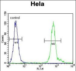 Invitrogen WDR70 Polyclonal Antibody 400 &mu;L; Unconjugated:Antibodies,