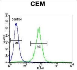 Invitrogen PSMAL Polyclonal Antibody 400 &mu;L; Unconjugated:Antibodies,
