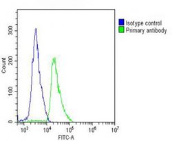 Invitrogen TARC Polyclonal Antibody 200 &mu;L | Buy Online | Invitrogen&trade; | Fisher Scientific