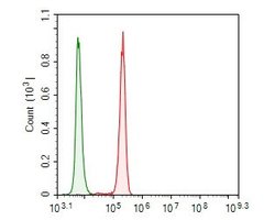 Invitrogen USP21 Polyclonal Antibody 100 &mu;L; Unconjugated:Antibodies,