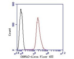 Invitrogen CHRNA3 Polyclonal Antibody 100 &mu;L; Unconjugated:Antibodies,