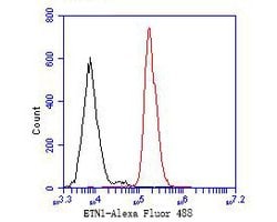 Invitrogen ENT1 Polyclonal Antibody 100 &mu;L; Unconjugated:Antibodies,