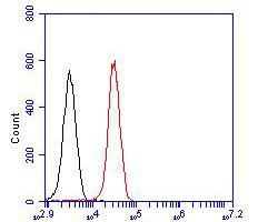 Invitrogen Nhe-1 Polyclonal Antibody 100 &mu;L; Unconjugated:Antibodies,