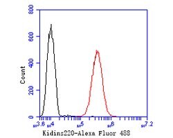 Invitrogen KIDINS220 Polyclonal Antibody 100 &mu;L; Unconjugated:Antibodies,