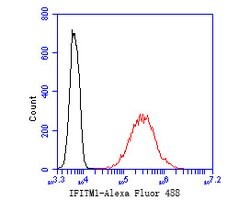 Invitrogen IFITM1 Polyclonal Antibody 100 μL; Unconjugated:Antibodies,