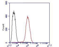 Invitrogen Thymidine Phosphorylase Polyclonal Antibody 100 &mu;L; Unconjugated:Antibodies,