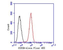 Invitrogen COX5B Polyclonal Antibody 100 &mu;L; Unconjugated:Antibodies,