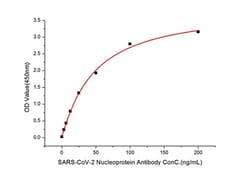 Invitrogen SARS-CoV-2 Nucleocapsid Polyclonal Antibody 100 &mu;L; Unconjugated:Antibodies,