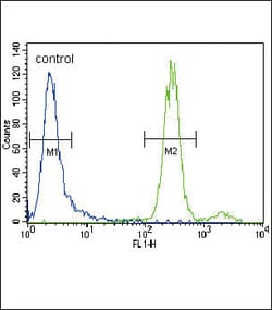 Invitrogen HGF Polyclonal Antibody 400 &mu;L; Unconjugated:Antikörper
