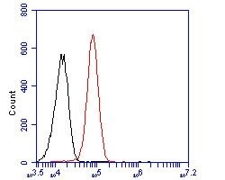 Invitrogen ZFHX3 Polyclonal Antibody 100 &mu;L; Unconjugated:Antibodies,