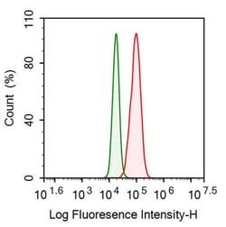 Invitrogen GNA11 Polyclonal Antibody 200 &mu;L; Unconjugated:Antibodies,