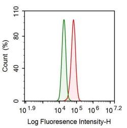 Invitrogen GBP4 Polyclonal Antibody 20 &mu;L | Buy Online | Invitrogen&trade; | Fisher Scientific