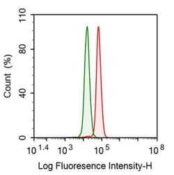 Invitrogen PGA5 Polyclonal Antibody 200 &mu;L; Unconjugated:Antibodies,