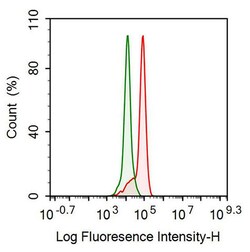 Invitrogen PFKP Polyclonal Antibody 200 &mu;L; Unconjugated:Antibodies,