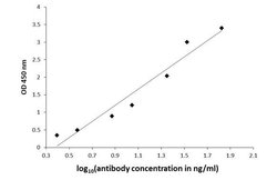 Invitrogen 3-Methoxytyramine Polyclonal Antibody 100 &mu;L; Unconjugated:Antibodies,