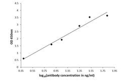 Invitrogen 5-Hydroxytryptophan Polyclonal Antibody 100 &mu;L; Unconjugated:Antibodies,