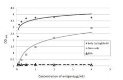 Invitrogen Beta Lactoglobulin Polyclonal Antibody 1 mL; Unconjugated:Antibodies,