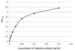 Invitrogen Casein Polyclonal Antibody 200 &mu;L; Unconjugated:Anticorps,