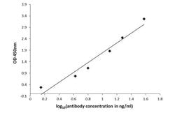 Invitrogen Levodopa Polyclonal Antibody 100 μL; Unconjugated:Antibodies,