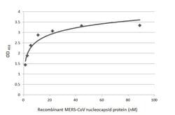 Invitrogen MERS Coronavirus NP Polyclonal Antibody 100 &mu;L; Unconjugated:Antibodies,
