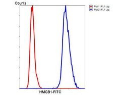 Invitrogen HMGB1 Polyclonal Antibody 100 &mu;L; Unconjugated:Antibodies,
