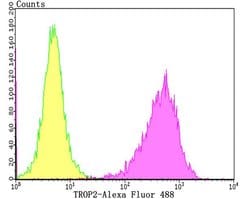 Invitrogen TROP2 Polyclonal Antibody 100 &mu;L; Unconjugated:Antibodies,