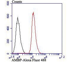 Invitrogen alpha-1 Microglobulin Polyclonal Antibody 100 &mu;L | Buy Online | Invitrogen&trade; | Fisher Scientific