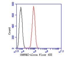 Invitrogen CHRNB2 Polyclonal Antibody 100 &mu;L; Unconjugated:Antibodies,