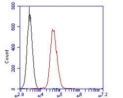 Invitrogen CD35 Polyclonal Antibody 100 &mu;L; Unconjugated:Antibodies,