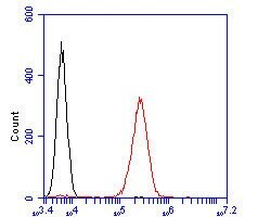 Invitrogen KCNQ4 Polyclonal Antibody 100 &mu;L; Unconjugated:Antibodies,