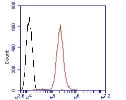 Invitrogen ADAM22 Polyclonal Antibody 100 &mu;L; Unconjugated:Antibodies,
