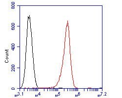 Invitrogen DTNBP1 Polyclonal Antibody 100 &mu;L; Unconjugated:Antibodies,