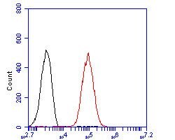 Invitrogen SYNDIG1 Polyclonal Antibody 100 &mu;L; Unconjugated:Antibodies,