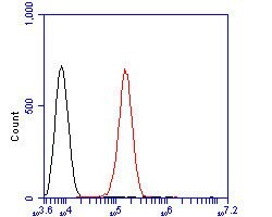 Invitrogen KAP3 Polyclonal Antibody 100 μL; Unconjugated:Antibodies,