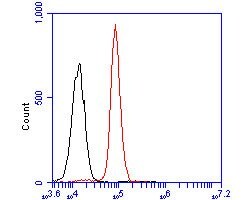 Invitrogen SERPINA6 Polyclonal Antibody 100 &mu;L | Buy Online | Invitrogen&trade; | Fisher Scientific