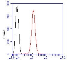 Invitrogen GRIK4 Polyclonal Antibody 100 &mu;L; Unconjugated:Antibodies,