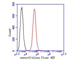 Invitrogen ONECUT3 Polyclonal Antibody 100 &mu;L; Unconjugated:Antibodies,