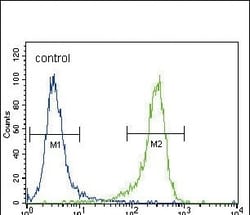 Invitrogen PGP9.5 Polyclonal Antibody 400 &mu;L; Unconjugated:Anticuerpos