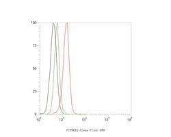 Invitrogen PIP5K1A Polyclonal Antibody 100 &mu;L; Unconjugated:Antibodies,