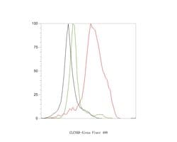 Invitrogen CLCNKB Polyclonal Antibody 100 μL; Unconjugated:Antibodies,