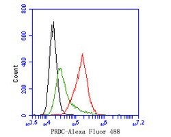 Invitrogen GREM2 Polyclonal Antibody 100 &mu;L; Unconjugated:Antibodies,