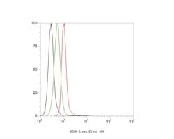 Invitrogen RGS6 Polyclonal Antibody 100 &mu;L; Unconjugated:Antibodies,