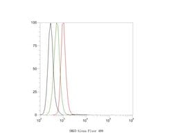 Invitrogen SMG5 Polyclonal Antibody 100 &mu;L; Unconjugated:Antibodies,