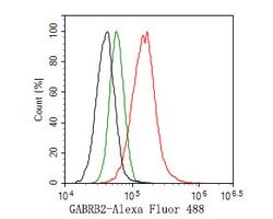 Invitrogen GABRB2 Polyclonal Antibody 100 &mu;L | Buy Online | Invitrogen&trade; | Fisher Scientific