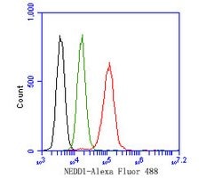 Invitrogen NEDD1 Polyclonal Antibody 100 &mu;L; Unconjugated:Antibodies,