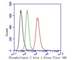 Invitrogen PLCB1 Polyclonal Antibody 100 &mu;L; Unconjugated:Antibodies,