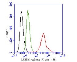 Invitrogen LRRTM1 Polyclonal Antibody 100 &mu;L; Unconjugated:Antibodies,