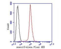 Invitrogen ONECUT3 Polyclonal Antibody 100 &mu;L; Unconjugated:Antibodies,